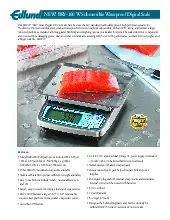 edlund-brv-160w-scale-portion-digital-specsheet-2508154xrr8b.pdf